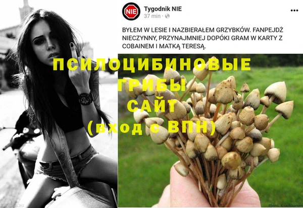 альфа пвп Баксан