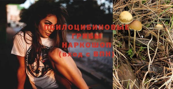 ПСИЛОЦИБИНОВЫЕ ГРИБЫ Балахна