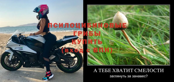 ПСИЛОЦИБИНОВЫЕ ГРИБЫ Балахна